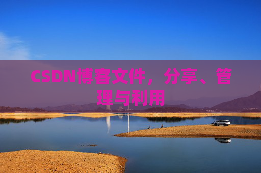 CSDN博客文件，分享、管理与利用
